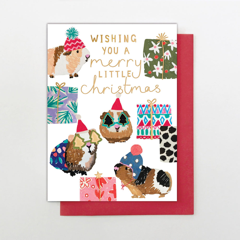Funky Guinea Pig Christmas Card