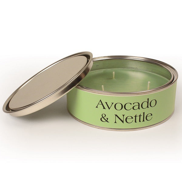Avocado & Nettle Triple Wick Paint Tin Candle