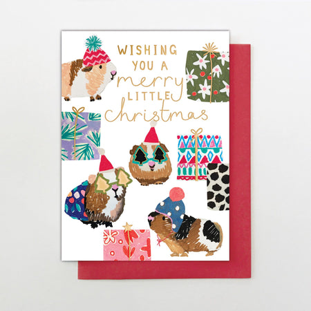 Funky Guinea Pig Christmas Card