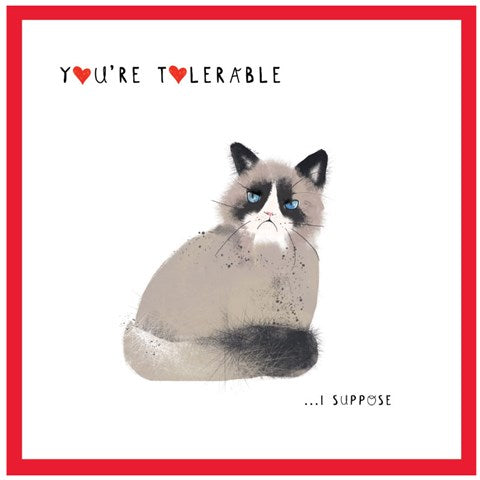 You're Tolerable...I Suppose! Valentines Card