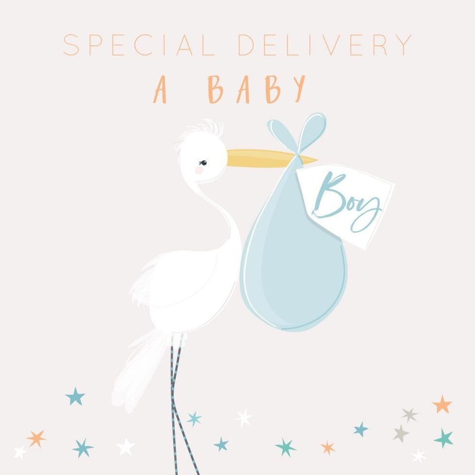 Special Delivery Baby Boy Card